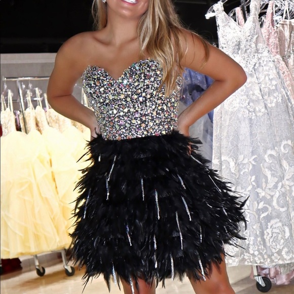 Sparkle and Feathers are a Girl's Best Friend! - Picture 2 of 5